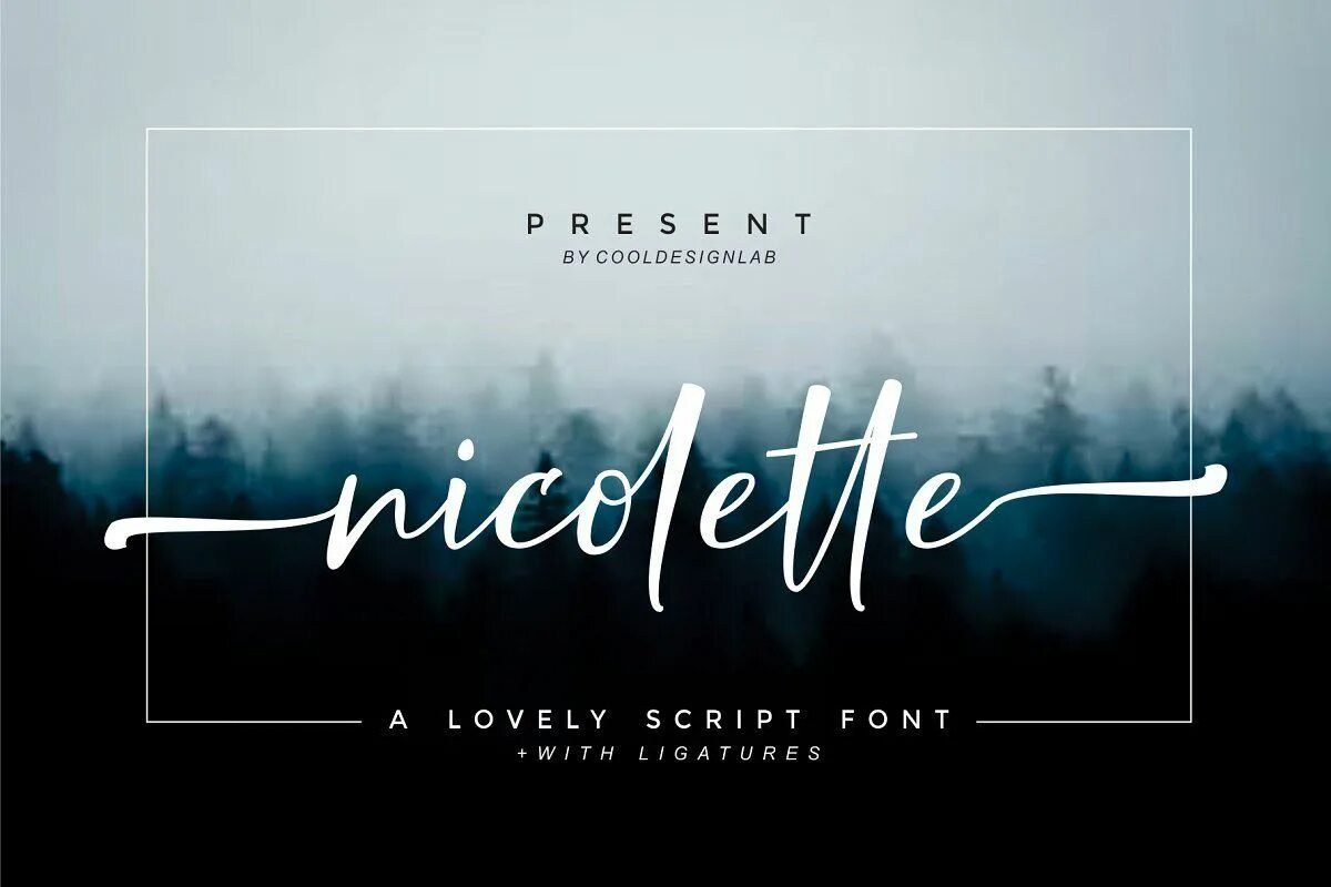 Night script. Night script