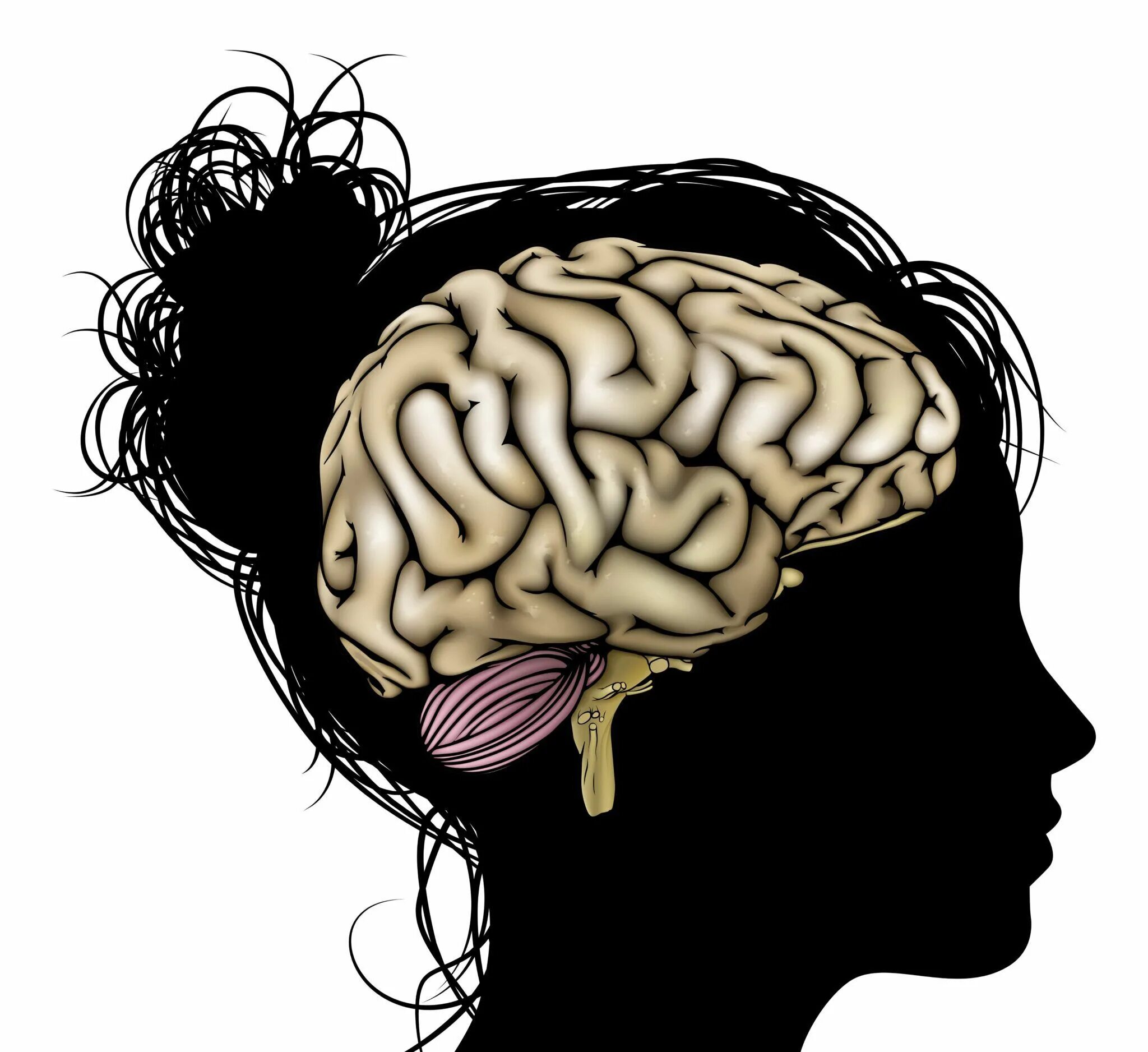 Пустой мозг. Изучение мозга. Женская голова с мозгом.