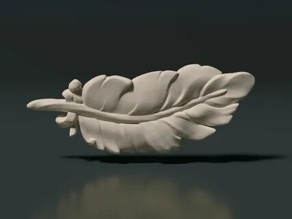Feather 3d