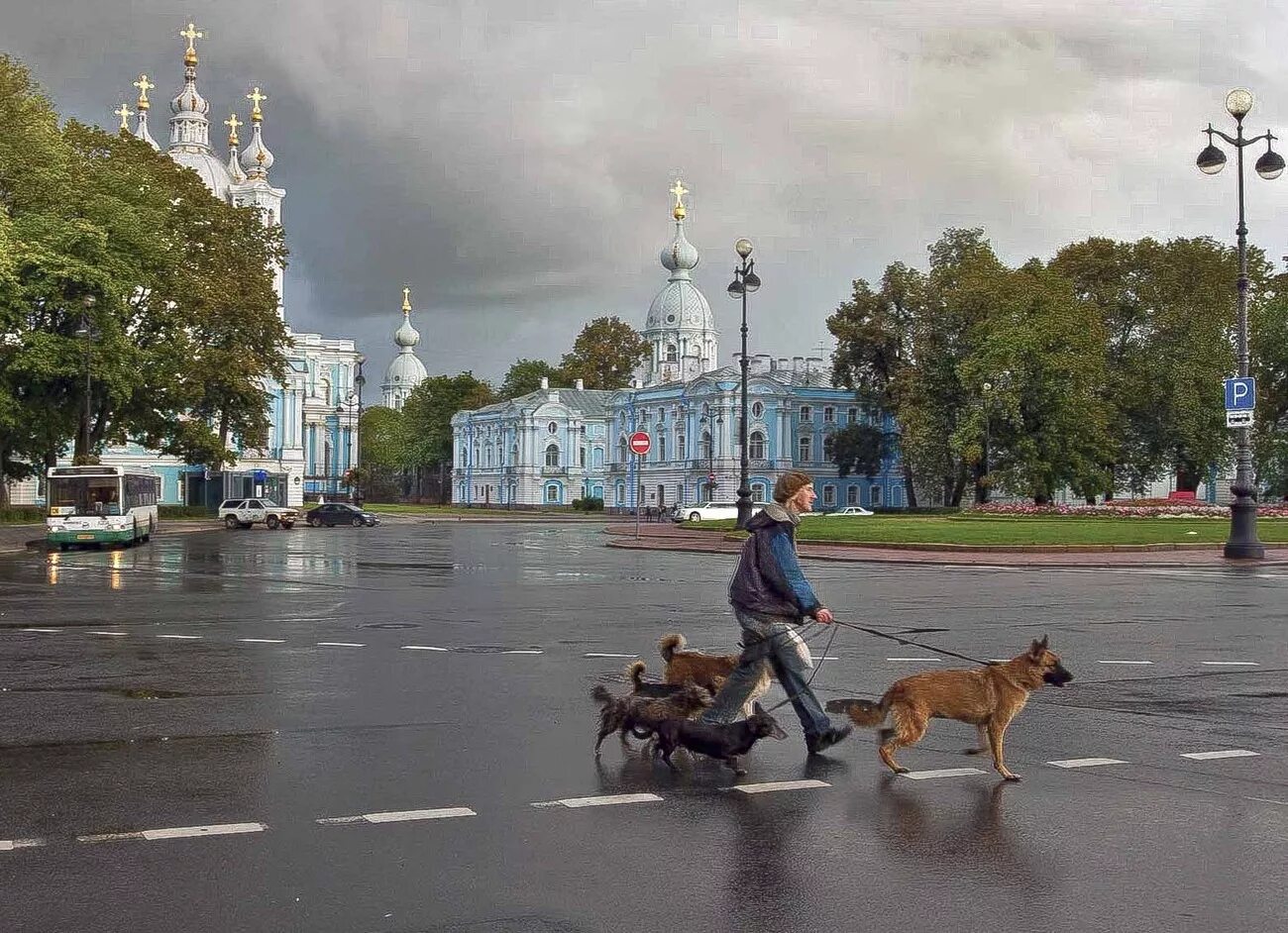 Погулять конечно. Прогулки с собакой в СПБ. Собаки Петербурга. Прогулка с собакой. Люди на улицах Питера.