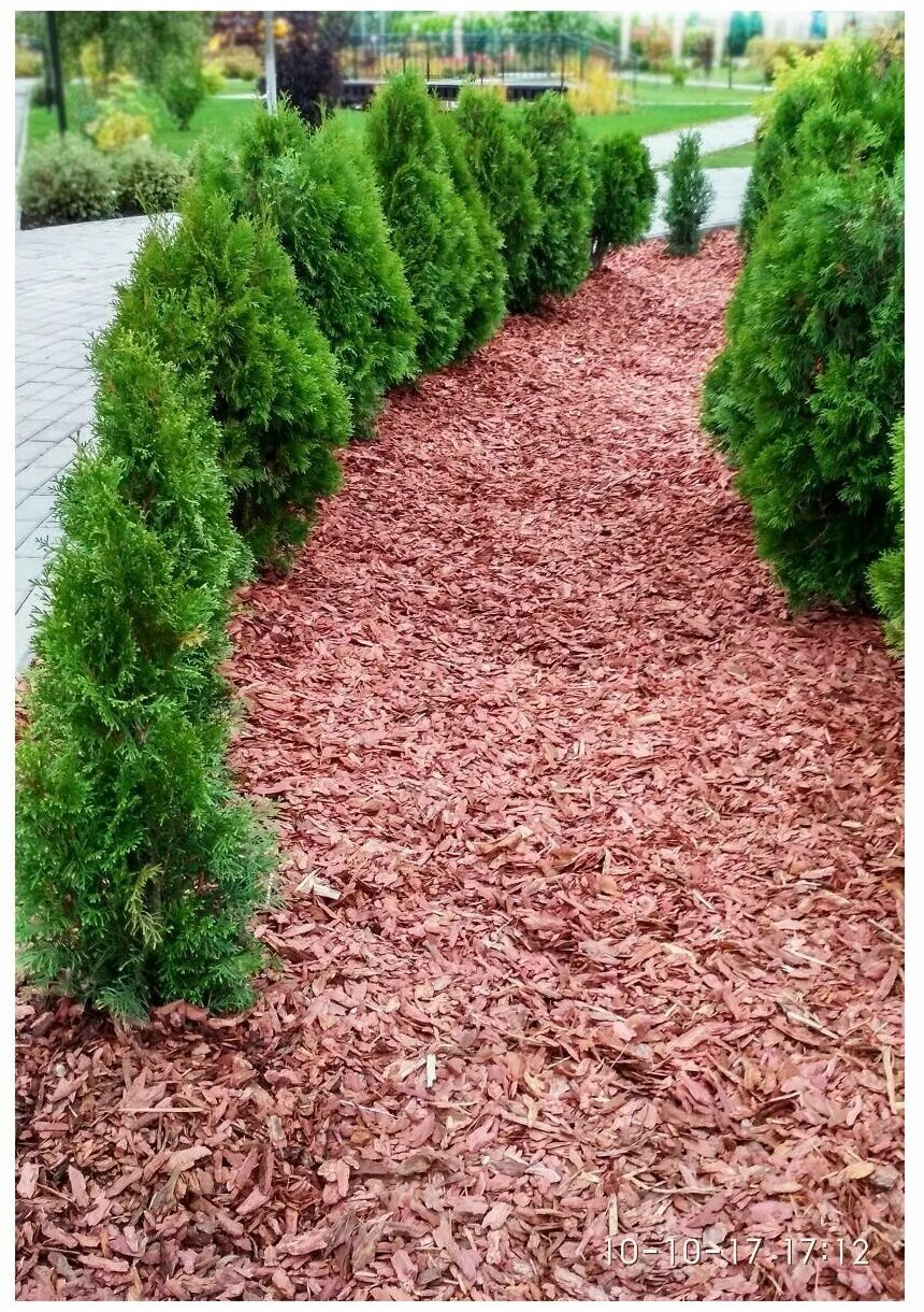 Кора лиственницы для мульчирования. Мульчирование хвойников корой. Кора лиственницы для мульчирования. Мульча сибирской лиственницы. Щепа лиственницы для мульчирования.