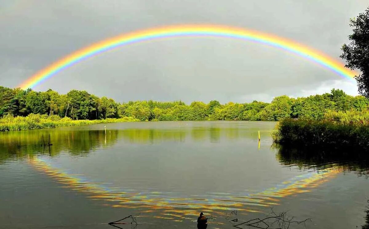 Около радуги. Конец радуг. Радуга пейзаж природа. Двойная радуга в деревне. Около радуги.