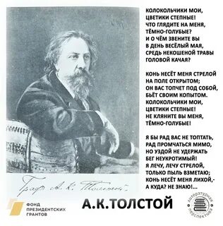 Стиха толстого где