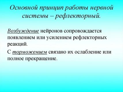 Возбуждение нервных клеток