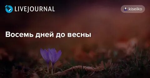 Сколько до весны