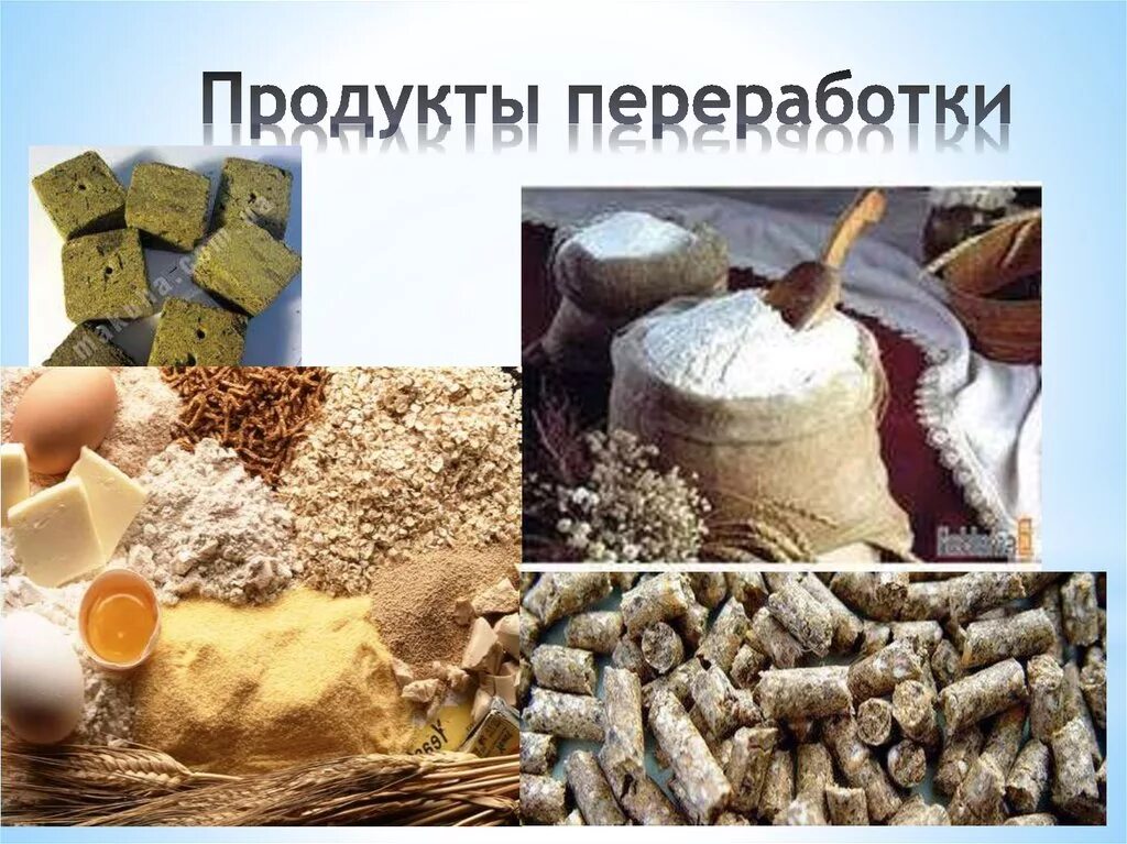 Проблема отходов и побочных продуктов. Проблема отходов и побочных продуктов