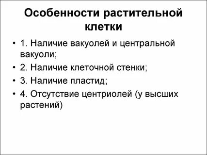 Основные клетки и их особенности