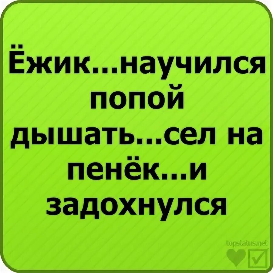 Ежик научился дышать попой сел на пенек и задохнулся. Анекдот Ежик научился дышать попой сел на пенек и задохнулся. Анекдот сел на пенек и задохнулся. Анекдот про ежика и пенек. Ежик научился дышать попой