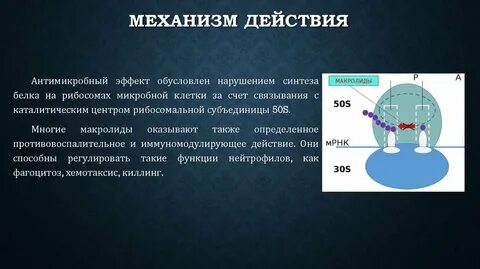 Раскройте механизм работы