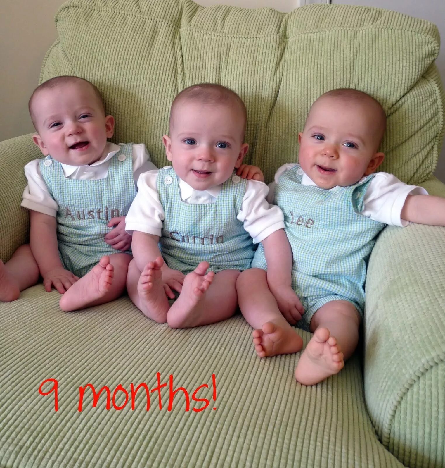 королевская двойня. семья с тройняшками. бихориальная двойня. двойняшки в виде поросят.