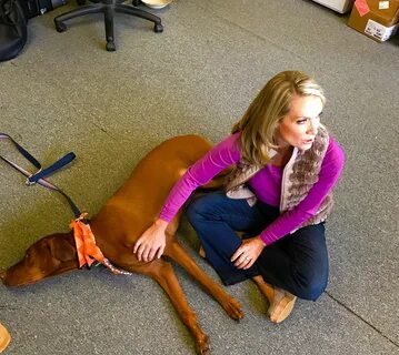 Dana Perino on Twitter: "Quick belly rub before we go see our friends.