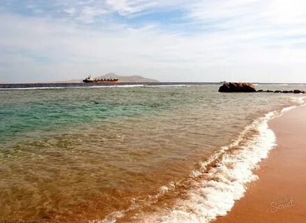 Какой берег на красном море
