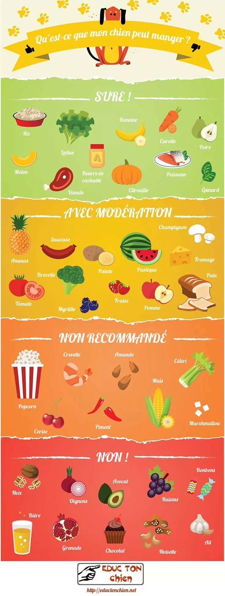 Какую еду можно давать собакам. Что можно есть собакам а что нельзя. какие фрукты можно собакам. что можно и нельзя давать собакам. какую пищу можно давать собакам.