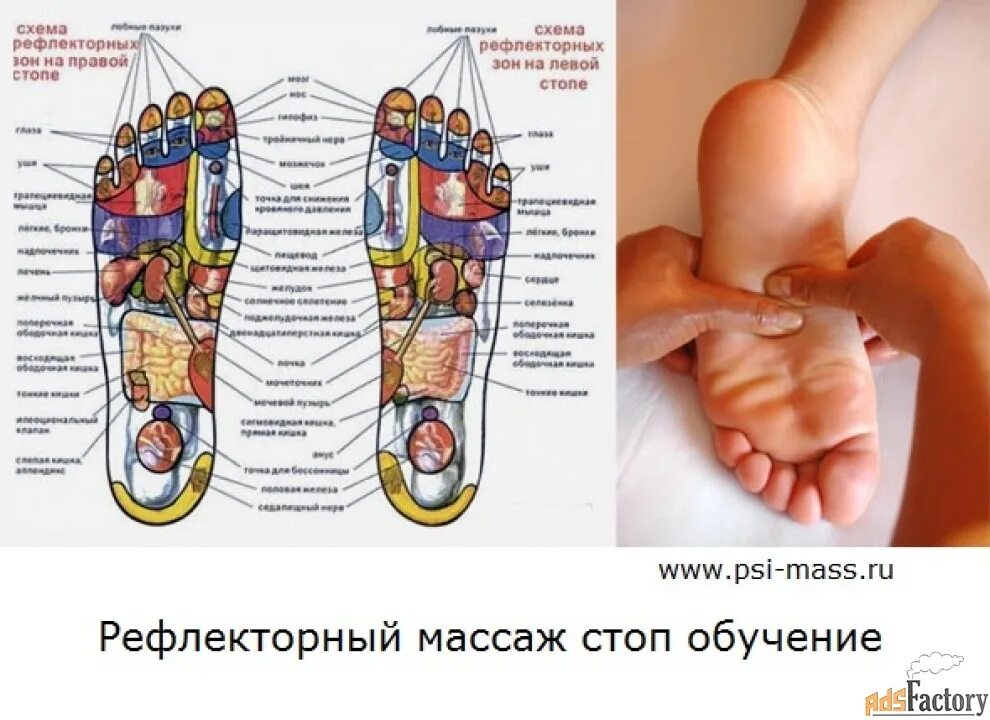 Рефлекторный массаж стопы. Рефлекторные точки на стопе. Точечный массаж ног. Рефлекторные зоны стопы для массажа.