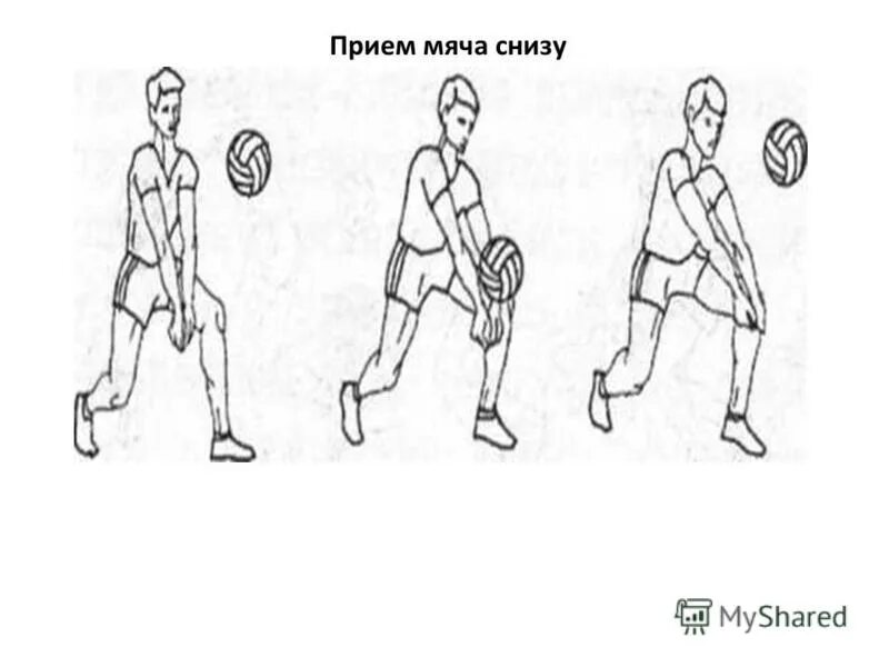 В каких случаях используется прием мяча снизу. Техника приема мяча снизу двумя руками. Прием мяча снизу, мяч набрасывает партнер. Техника приема мяча снизу после передачи сверху. Техника передачи мяча снизу.