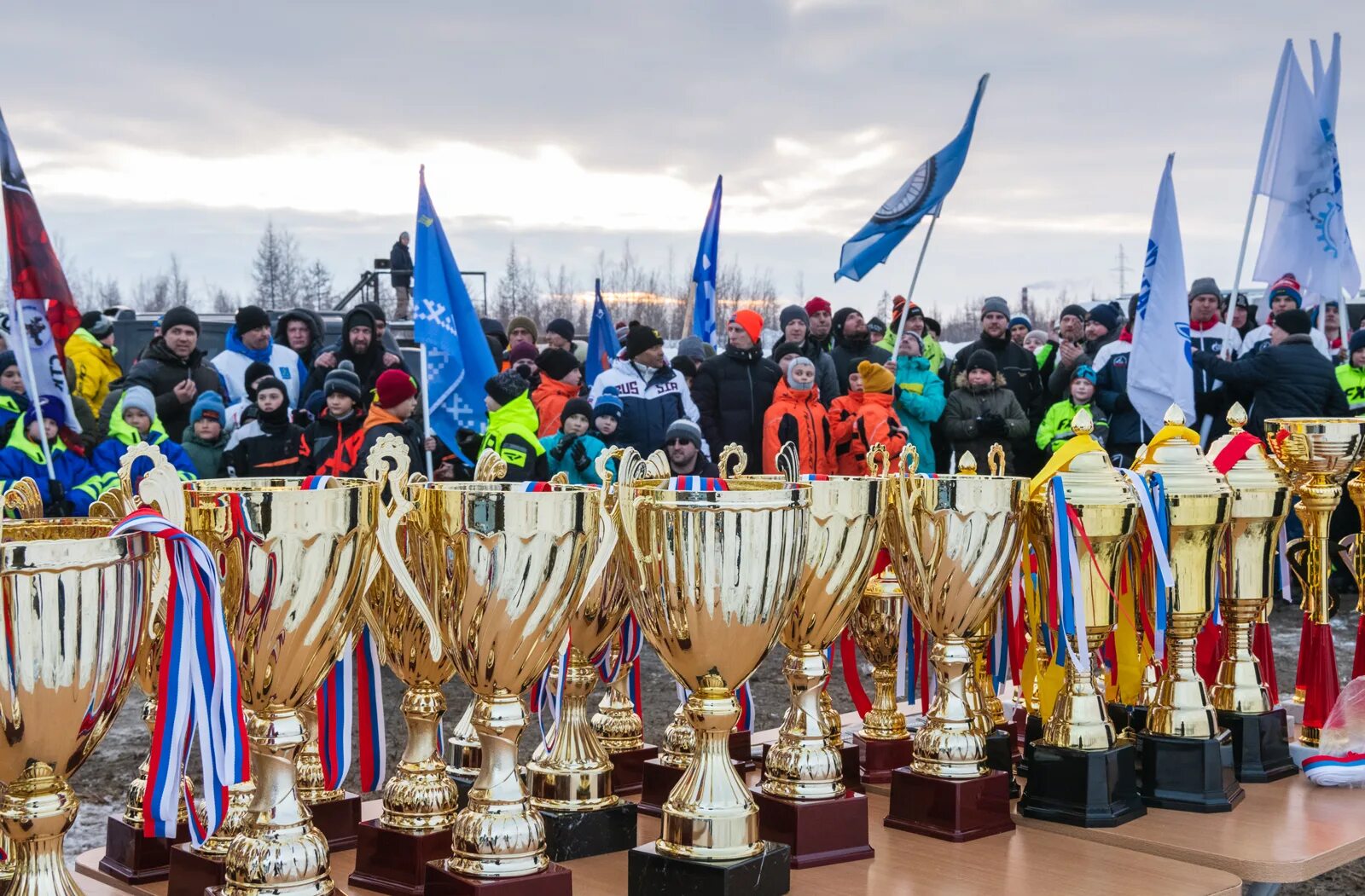 Спортивно-технического клуба "Ямбург. Ямбург Россия. СТК Ямбург новый Уренгой. ДЮСШ Ямбург новый Уренгой. Показать ямбург