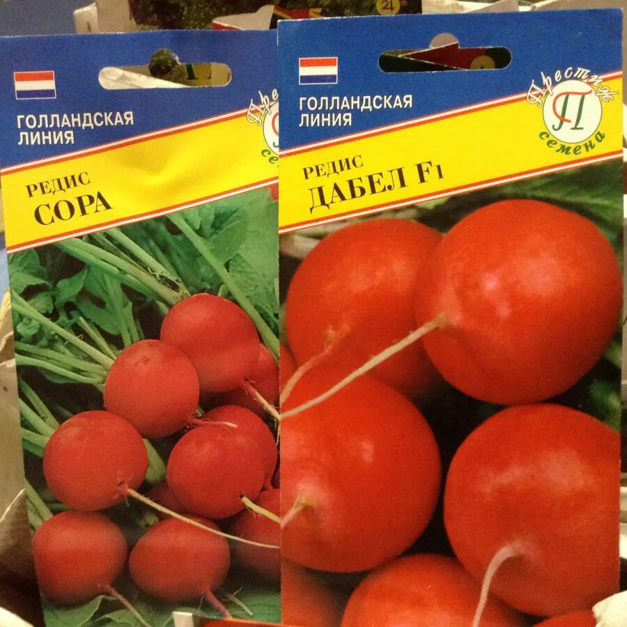 семена нидерланды