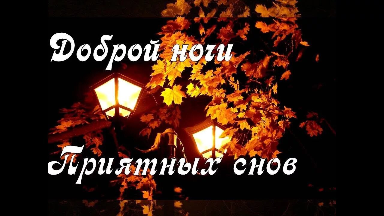 Доброй осенней ночи красивое. Доброй ночи осень. Спокойной ночи осенней ночи. Осенние пожелания спокойной ночи. Спокойной доброй ночи осенний.