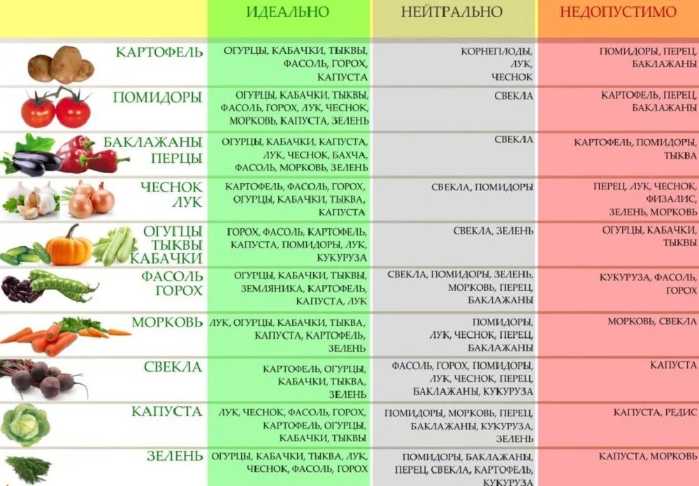 Можно сажать перец после томатов