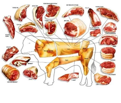 Части теленка в разрезе. Части тела говядины. Крестец говядина.
