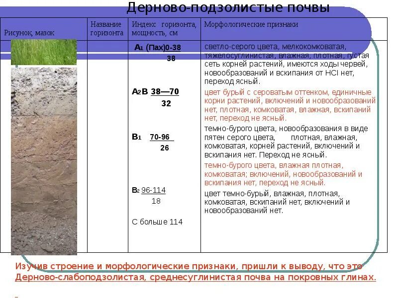 Дерново-подзолистые почвы идекс. Горизонты дерново-подзолистой почвы таблица. Мощность а1 дерново подзолистые почвы. Дерново-подзолистые почвы Тип климата. Содержание дерново подзолистых почв