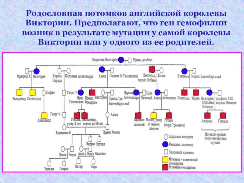 Потомок потомство. Потомок потомство. Потомки белки и стрелки. Потомок потомство. Современные пушкины потомки пушкина.