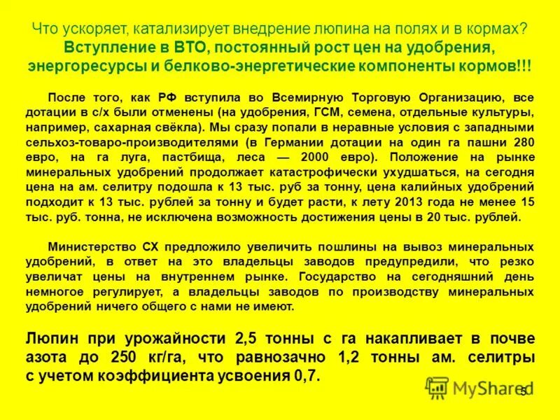 Начисто забылось постный сахар. Люпин желтый в фазе заготовки кормов. Переработка люпина. Потребности в почве Люпин кормовой. Значение люпина в сельскохозяйственном производстве.