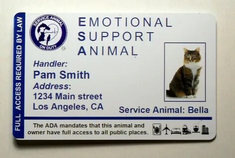 Animal id