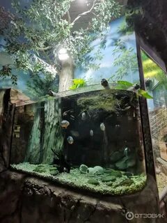 Владимирский экзотариум