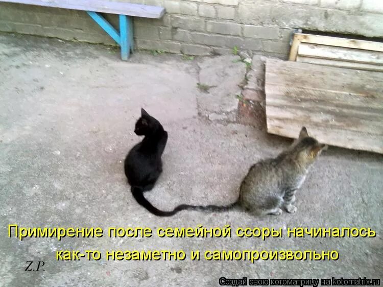 Мы поссоримся и помиримся