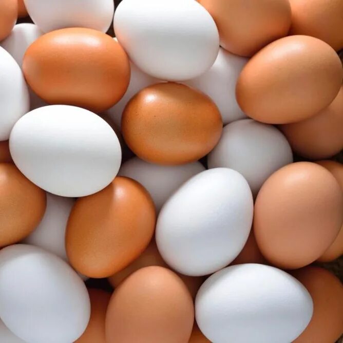 К чему снится видеть яйца. Яйцо куриное. Яйцо белое. Коричневое яйцо. Коричневые и белые яйца.