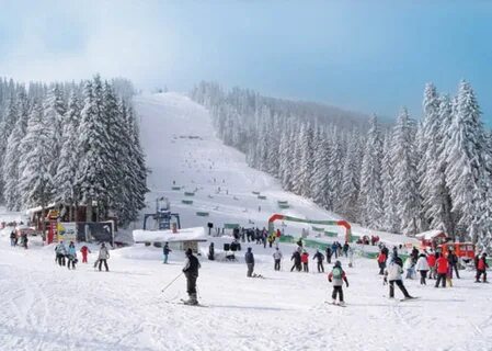 Сок горнолыжный