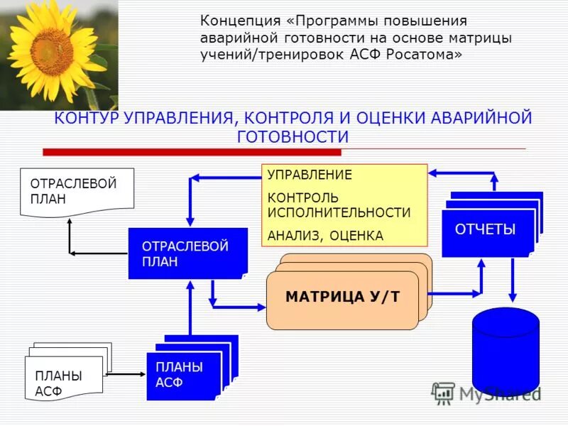 Понятия программа план. Понятия программа план