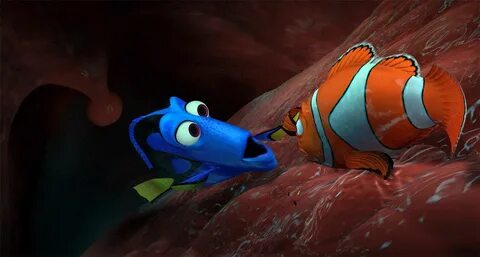 Dory marlin