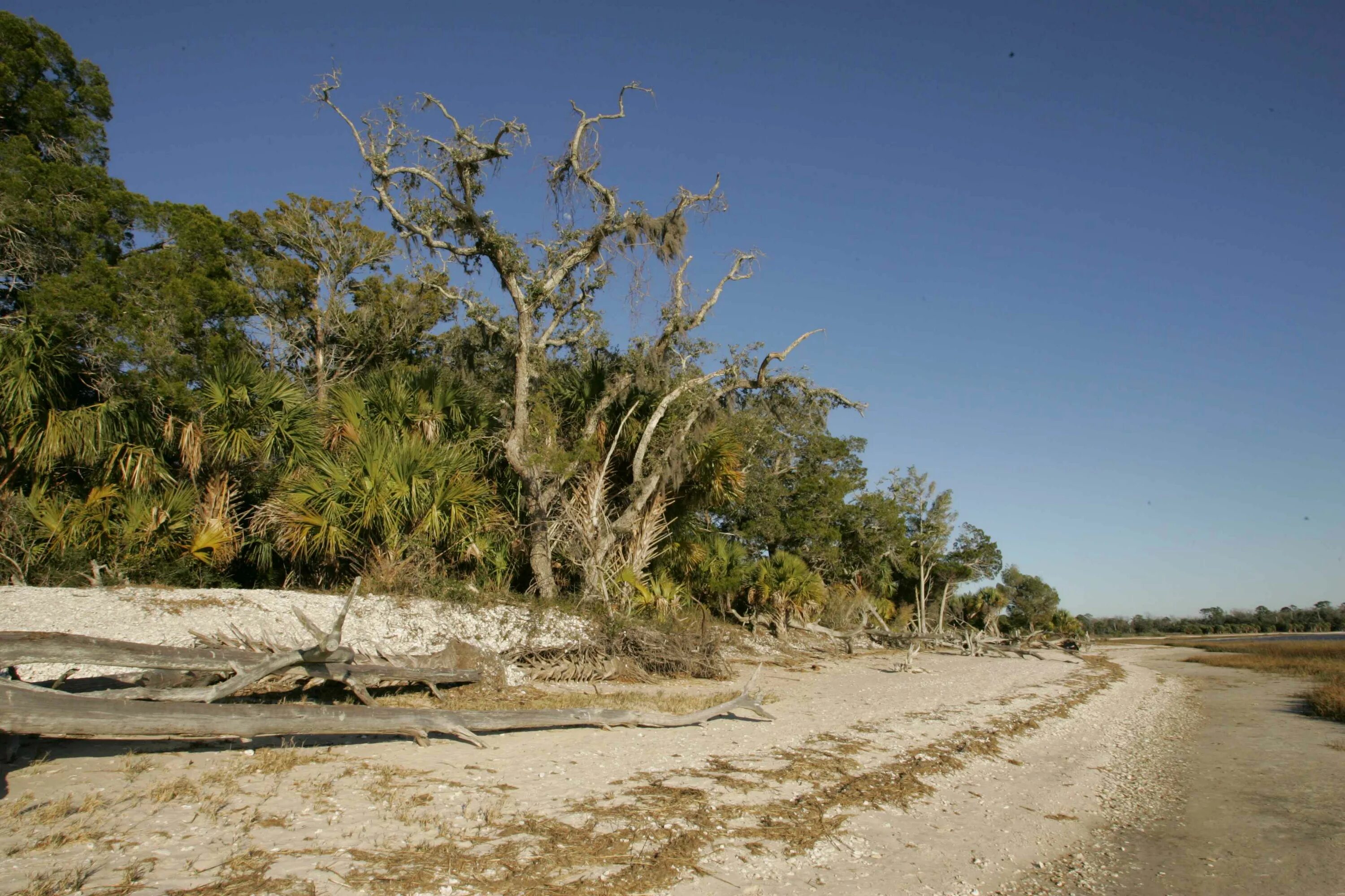 Coast areas. Прибрежная зона Бенина. Coastal area. Degradation of Coastal area.