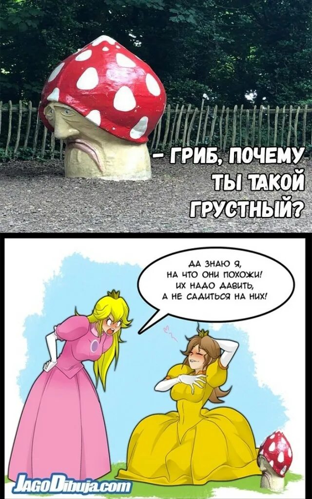 Принцесса пич комикс. Принцесса села на гриб. Марио грибы прикол. Марио принцесса гриб. Комикс про грибы смешной.