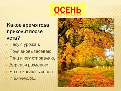 В какое время года лучше маленький
