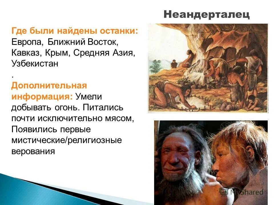 где были обнаружены. где были обнаружены. геншин маршрут фарма артефактов.