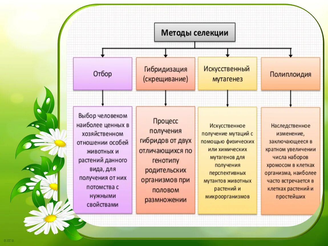 Основы искусственного отбора