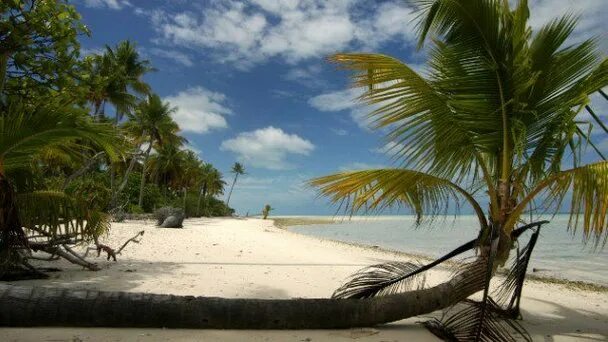 Остров Абемама. Кирибати. Атолл Абемама.