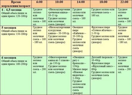 В 6 мес ребенка кормят