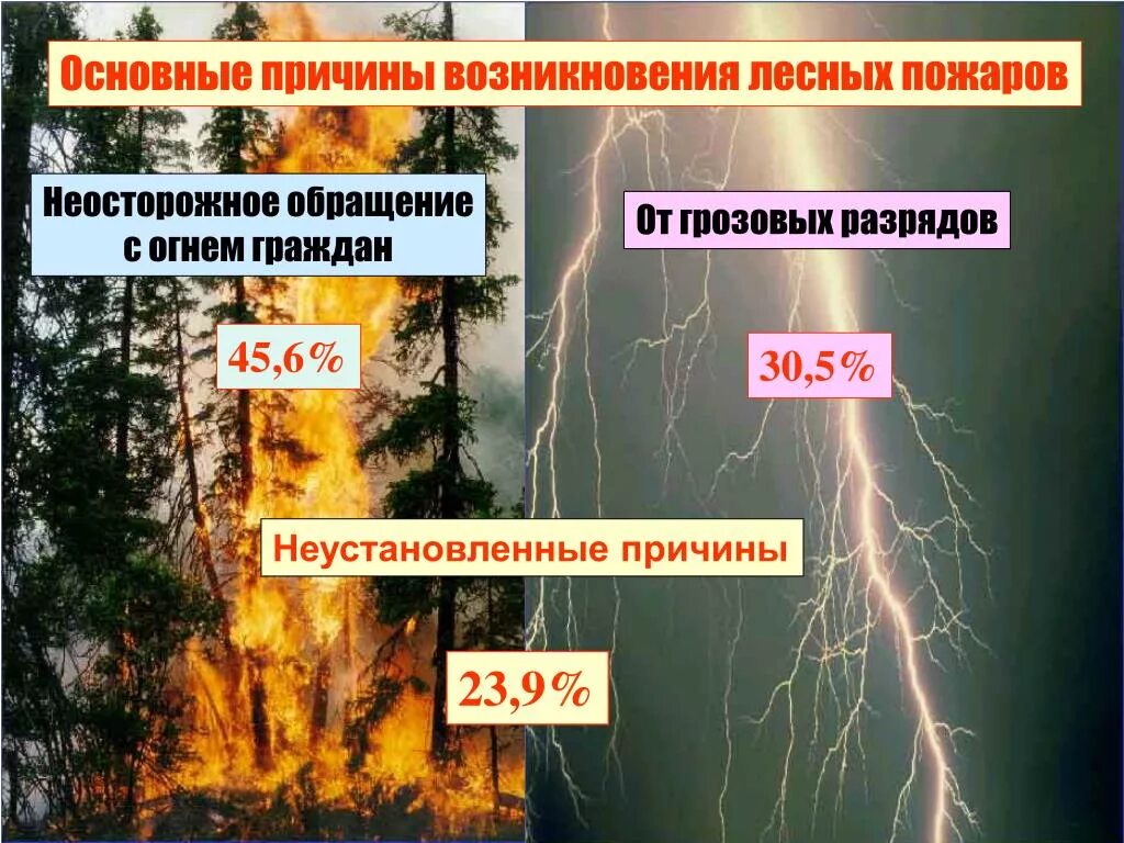 Что является основным фактором возникновения пожаров. Причины лесных пожаров. Причины возникновения лесных пожаров. Причины возникновения пожаров в лесу. Основные причины пожаров в лесу.