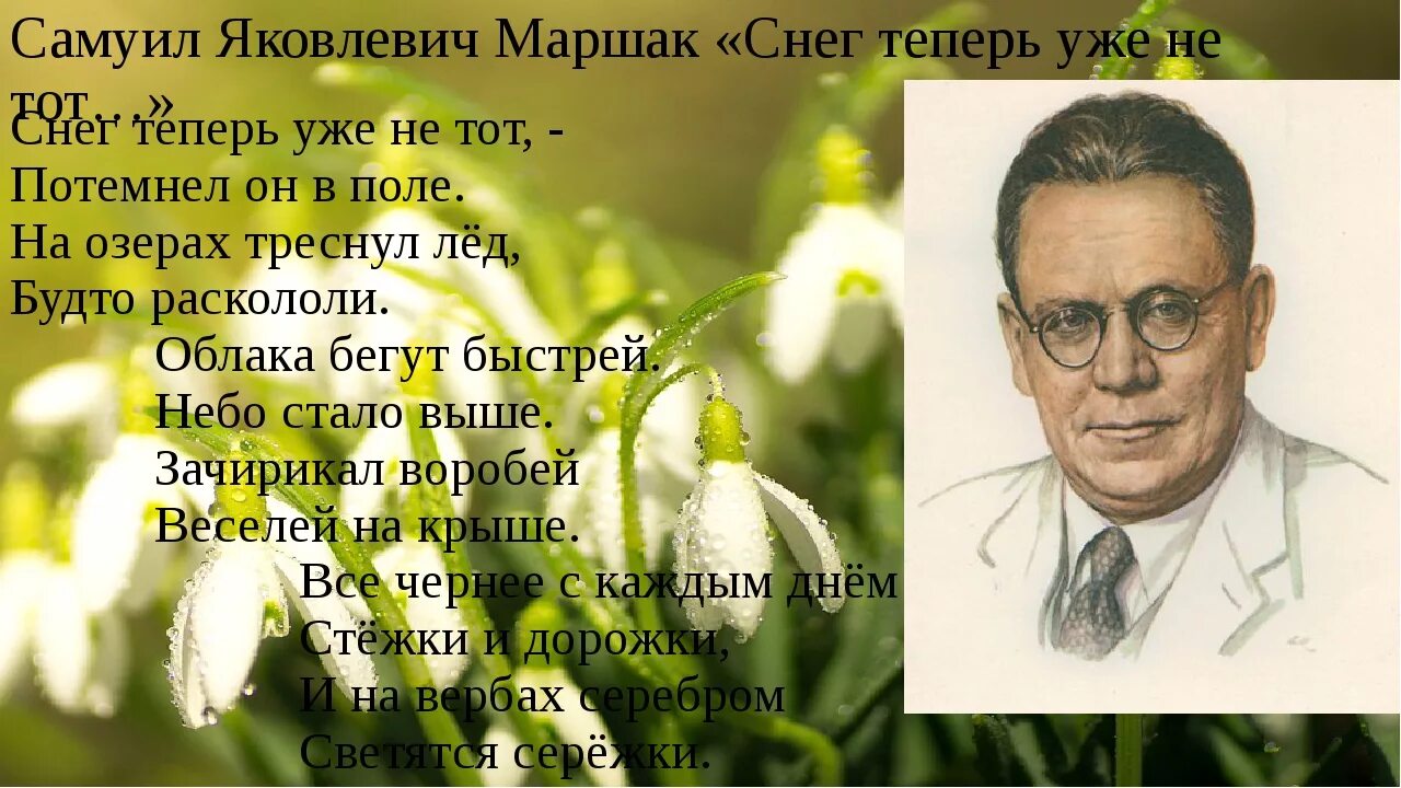 Стихотворение маршака о весне. Маршал снег теперь уже не. Снег теперь уже не тот. Снег уже теперь не тот Маршак.