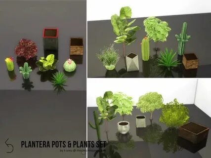 Plant sim