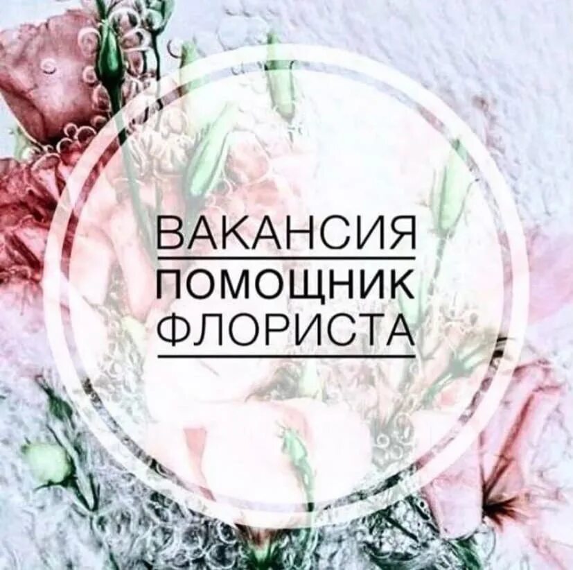 Вакансия помощник флориста. Ищем флориста. Требуется помощник флориста. Что требуется для работы флориста. Требуется помощник флориста.