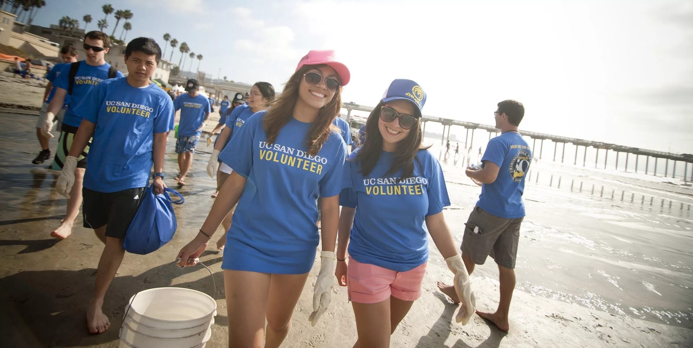 Волонтеры 50. Сан Диего волонтерство. San Diego группа. Синяя толстовка UCSD San Diego Alumni. UC San Diego Colleges by Major.
