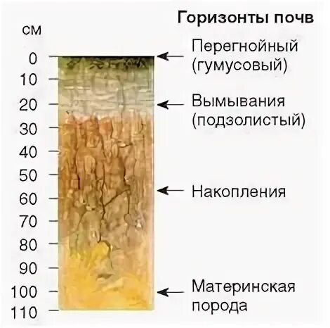 Trojden Почвы, их использование и охрана: Андриевская З. Я. - 7 класс