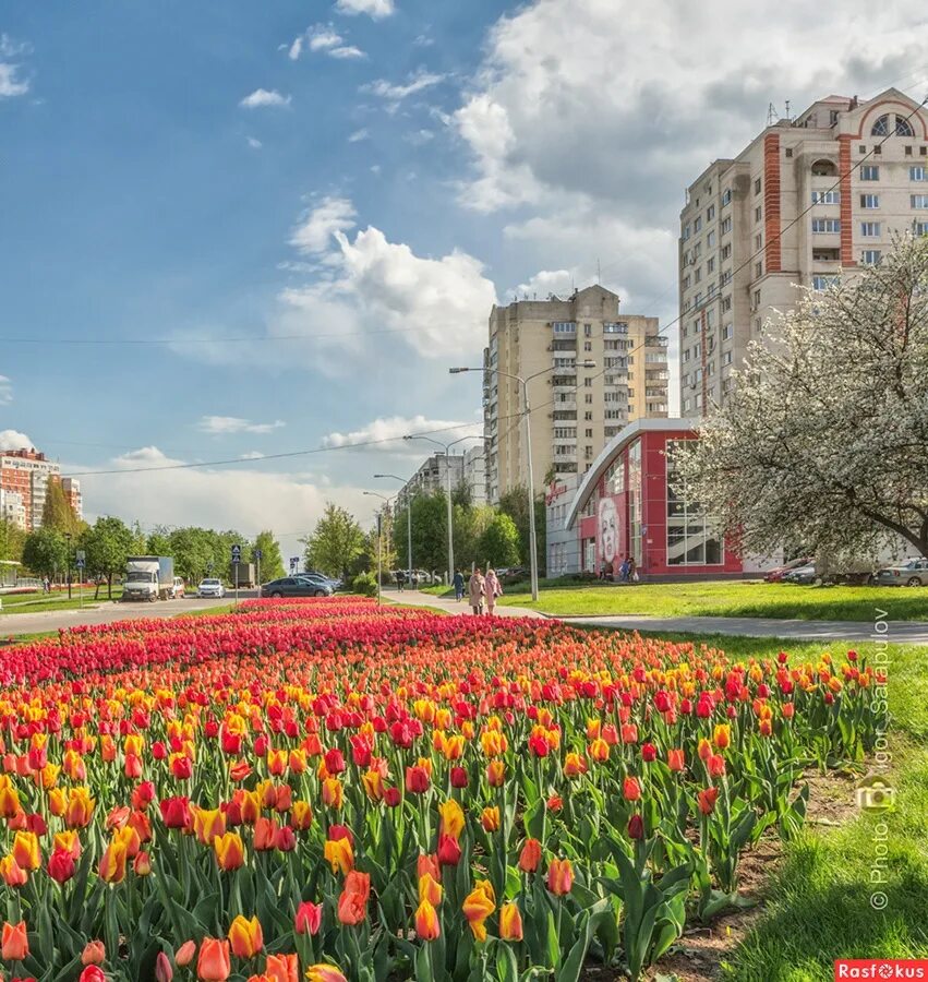 Белгород 14. Многоэтажка. Белгород разбомбили. 08. Белгород 14.