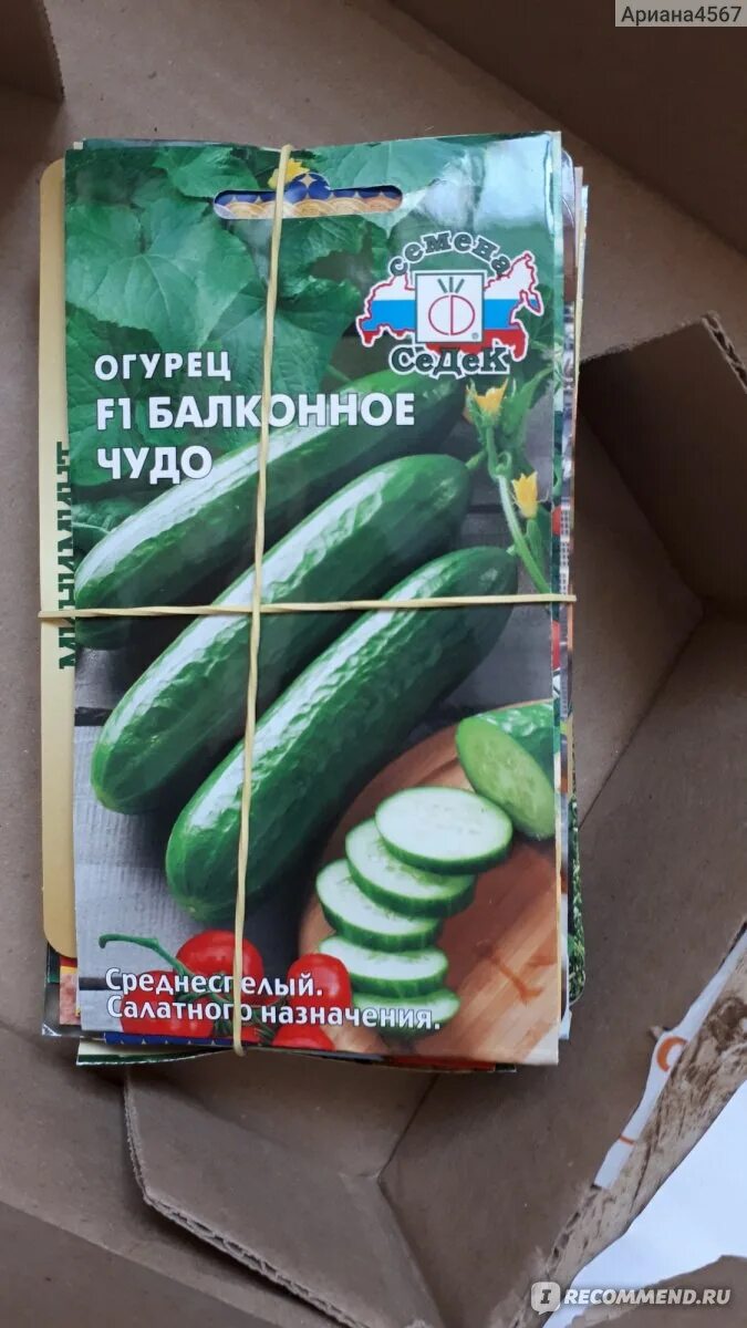 Семена овощей в пакетиках. Seedspost ru интернет магазин семян каталог товаров. Сидпост семена интернет магазин каталог 2022. Сидпост семена интернет магазин каталог 2022. Огурдыня сорта.