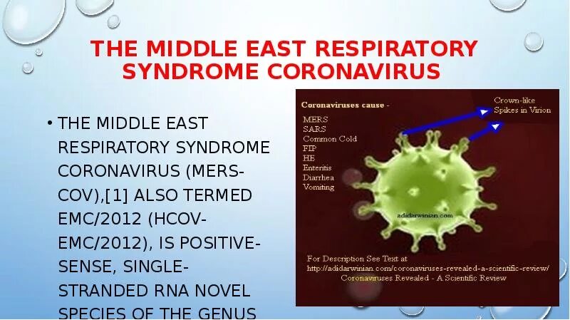Коронавирус. Коронавирус презентация. Коронавирус доклад. Презентация по биологии на тему коронавирус.